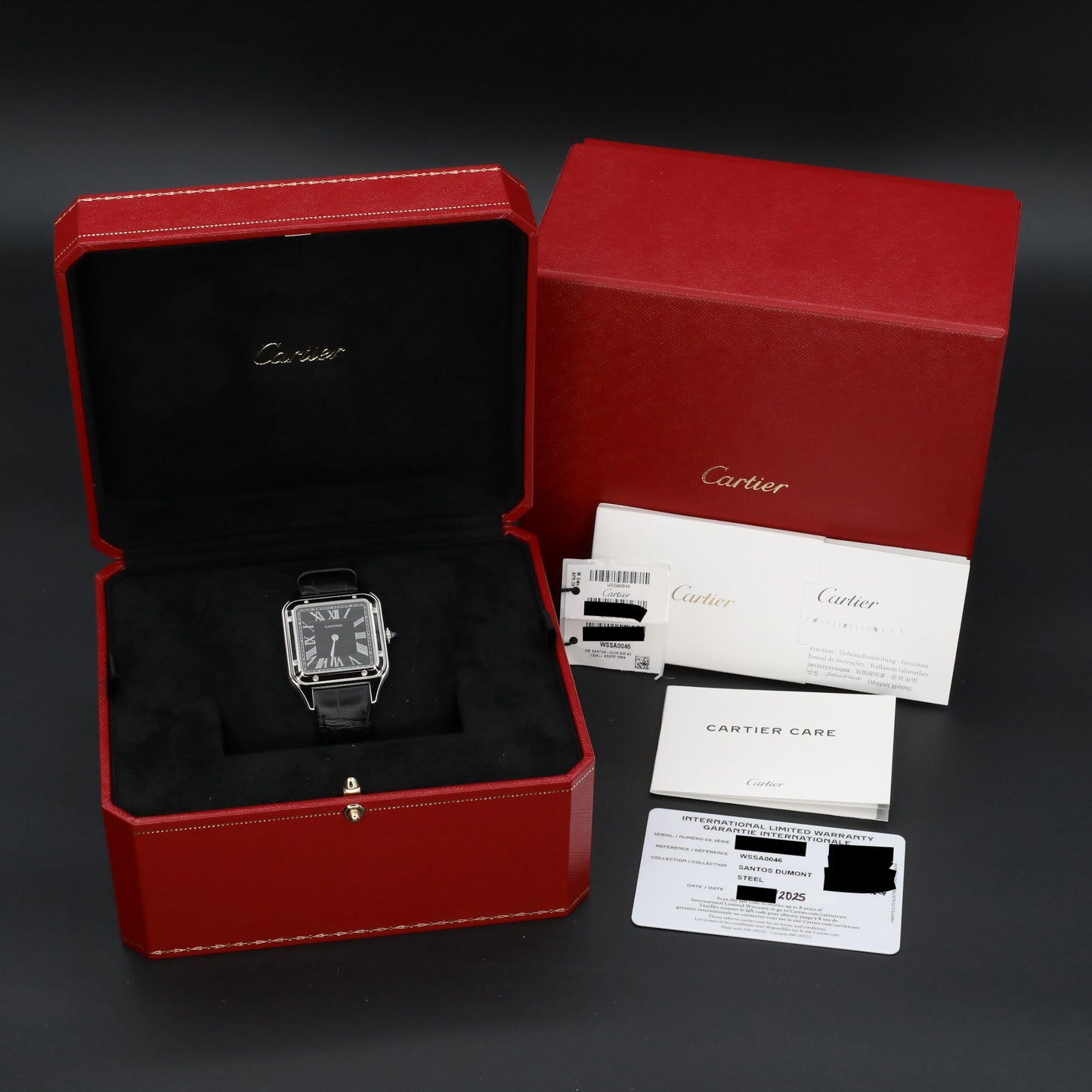 Cartier Santos Dumont Lacquer Dial Complete set - WSSA0046