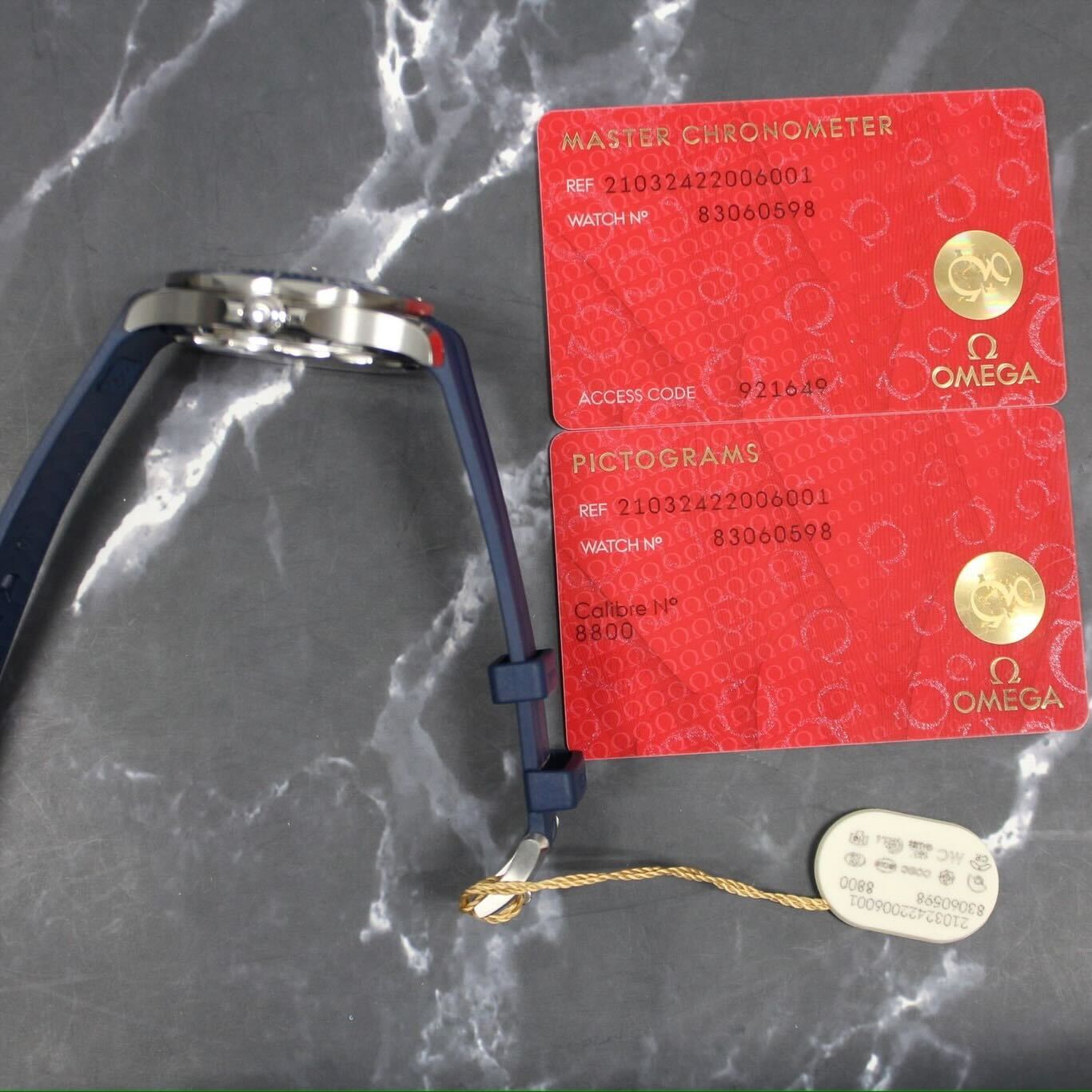 Omega Seamaster Pro 300M Gray Dial - 210.32.42.20.06.001