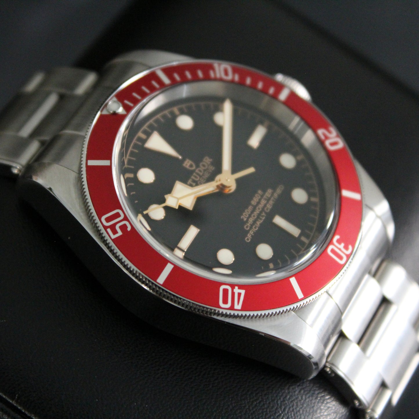 Tudor Black Bay - 79230R