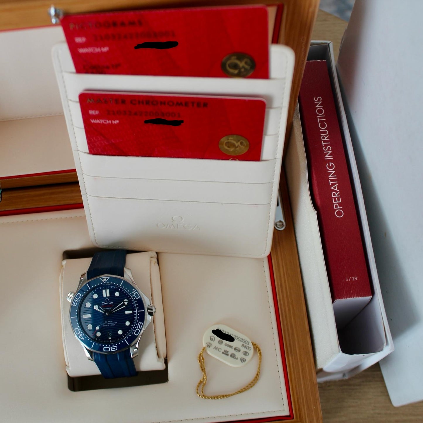 Omega Seamaster Blue - 210.30.42.20.03.001