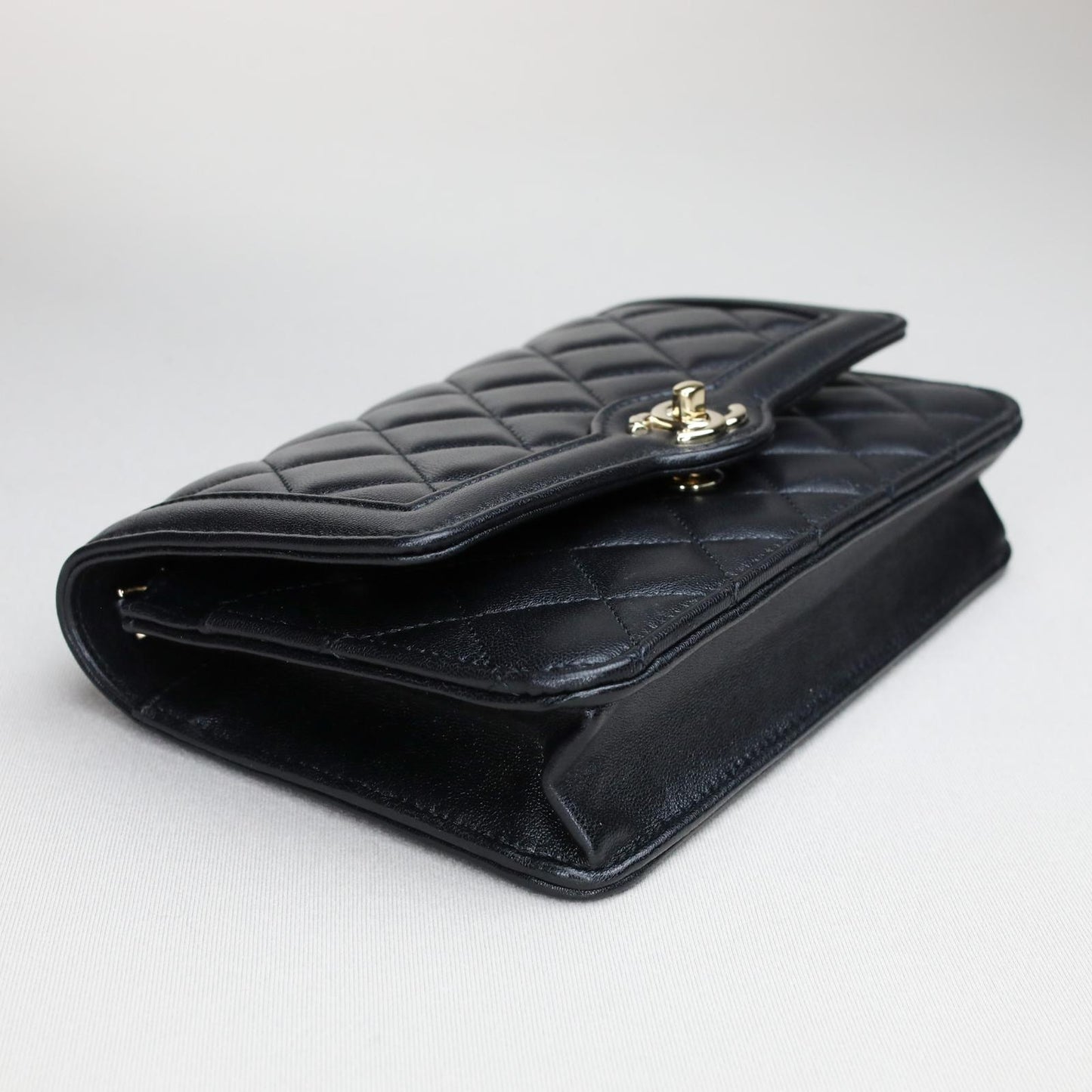 Chanel 24B Wallet on Chain (WOC) – Grained Calfskin & Champagne Gold Hardware